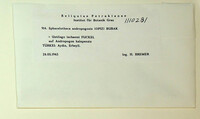 Image Associated With the Occurrence